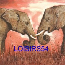 Serviette papier 2 éléphants dans la brousse